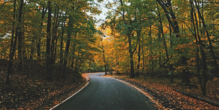 Image of winding road surrounded by autumn foliage.