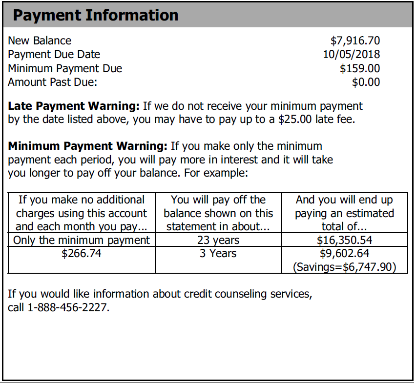 Image of Payment Information Section on Union Chequers Bank credit card statement